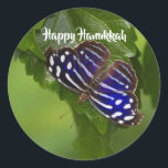 Happy Hanukkah blue and white butterfly Classic Round Sticker<br><div class="desc">Vibrant and Joyful this blue and white butterfly is ready to send your Hanukkah greetings. The text can be customised to meet your needs. Photo by Ruth Jolly.See also matching products.</div>