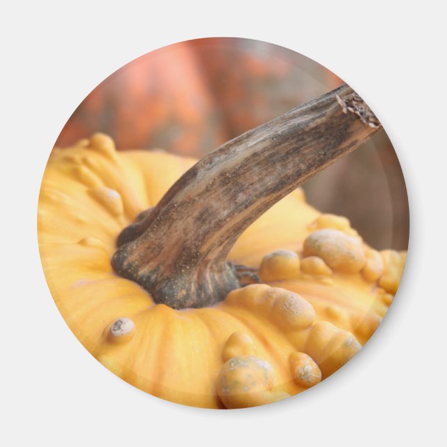 Happy Harvest! Magnet (Front)