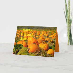 Happy Harvest Season, Pumpkin Patch Scene Greeting Card