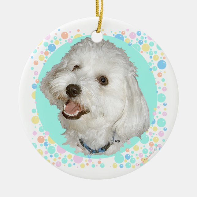 Happy Havanese Ceramic Tree Decoration (Front)