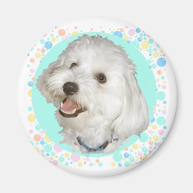 Happy Havanese Magnet (Front)