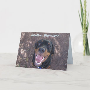 Happy Heidi Birthday Card