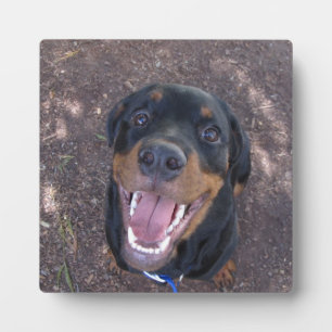 Happy Heidi Rottweiler Photo Plaque
