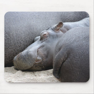 Happy hippo mousemat