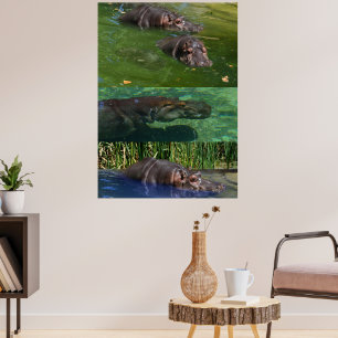 Happy Hippos In A Pond, Poster