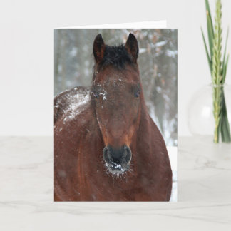 Happy Holiday Card