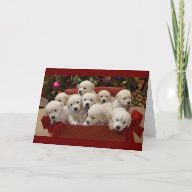 Happy Holiday Golden Retriever puppies Card (Front)