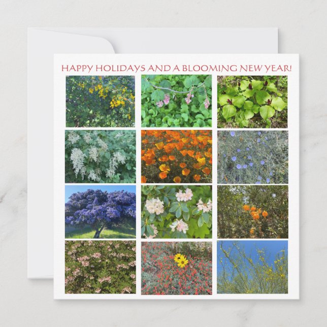 HAPPY HOLIDAYS AND A BLOOMING NEW YEAR! CARD (Front)