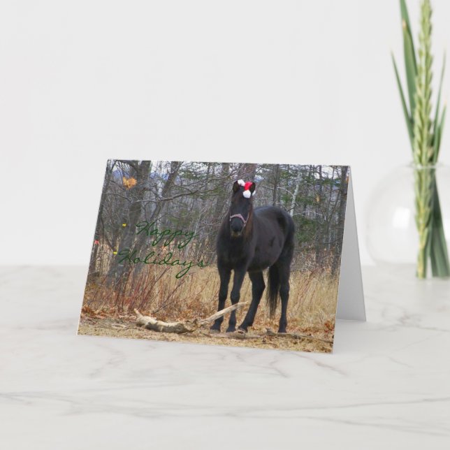Happy Holidays - Annie Greeting Card (Front)