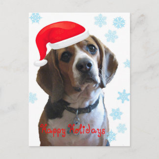 Happy Holidays Beagle Holiday Postcard
