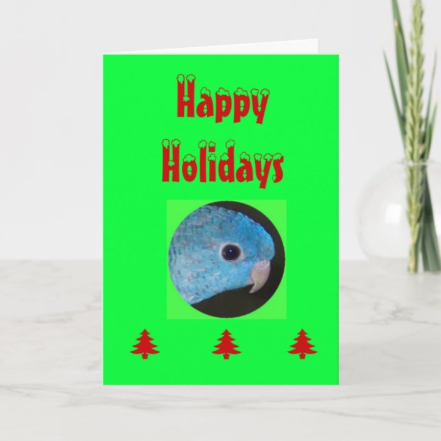 Happy Holidays card, linnie parakeet Holiday Card (Front)