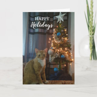 Happy Holidays Christmas card by Cheeto Dacutecat.