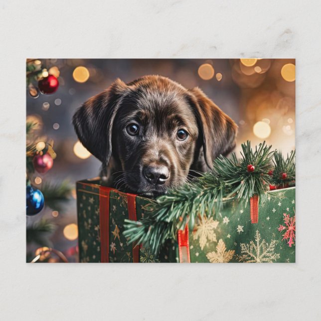 Happy Holidays Cute Chocolate Lab Puppy Holiday Postcard (Front)