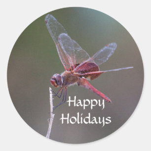 Happy Holidays Dragonfly Classic Round Sticker