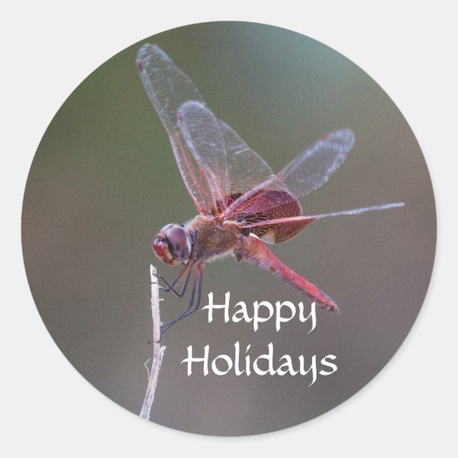 Happy Holidays Dragonfly Classic Round Sticker (Front)