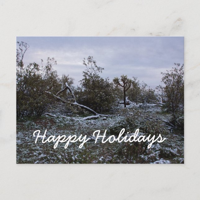 Happy Holidays from the desert Holiday Postcard (Front)