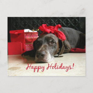 Happy Holidays german shorthaired pointer Holiday Postcard