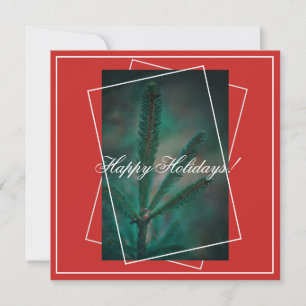 Happy Holidays Green Pine Fir Tree Greeting Card