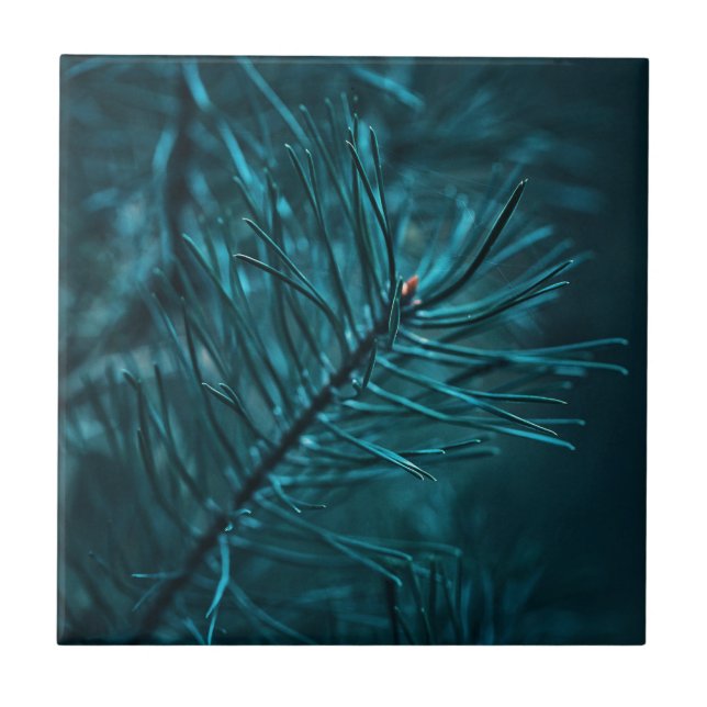 Happy Holidays Green Pine Fir Tree Tile (Front)