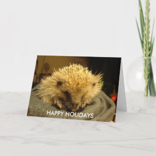 HAPPY HOLIDAYS "hedgehog" Holiday Card