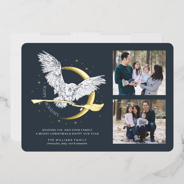 Happy Holidays Hedwig Delivery | Family Photo Card (Envelope)