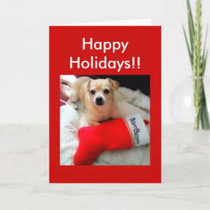 Happy Holidays Holiday Card