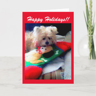 Happy Holidays Holiday Card