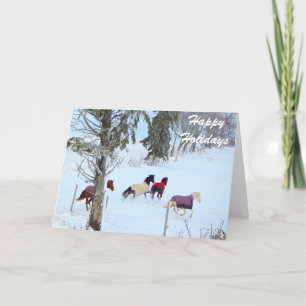 Happy Holidays Horse Cards