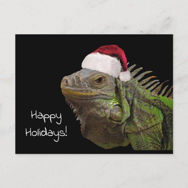 Happy Holidays Iguana Lizard with Santa Hat Holiday Postcard (Front)