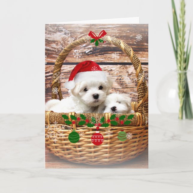 Happy Holidays: Maltese Puppies Holiday Card (Front)