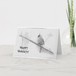 Happy Holidays Northern Cardinal Greeting Card B&W