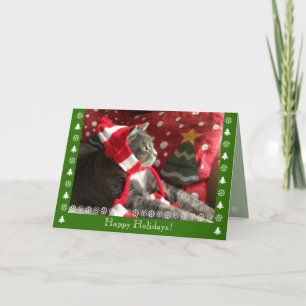 Happy Holidays! purr... from pretty cat. Holiday Card