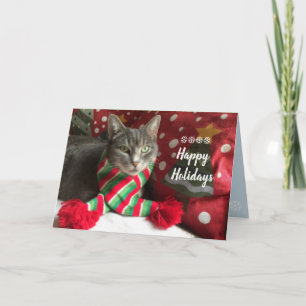 Happy Holidays! purr... Holiday Card