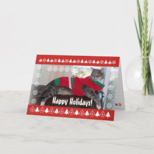 Happy Holidays! purr... Holiday Card