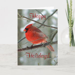 Happy Holidays (Red Cardinal) Card