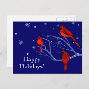 Happy Holidays. Red Cardinals Christmas  Holiday Postcard