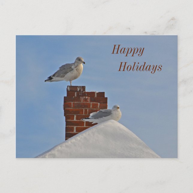 Happy Holidays Seashore Holiday Postcard (Front)