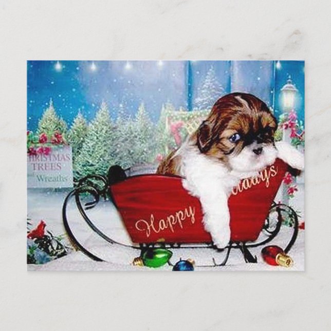 Happy Holidays Shih Tzu Holiday Postcard (Front)