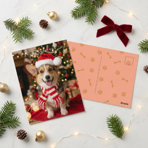 Happy Holidays Smiling Corgi Christmas Postcard