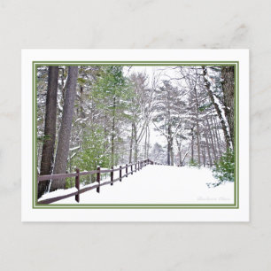 Happy Holidays/Walden Pond: Postcard