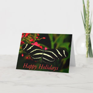 Happy Holidays Zebra Long-Wing Holiday Card
