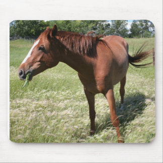 Happy Horse Mouse Pad