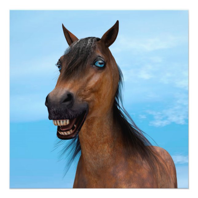 Happy Horse Photo Print (Front)