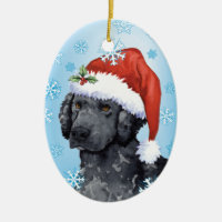 Happy Howliday Curly-Coated Retriever