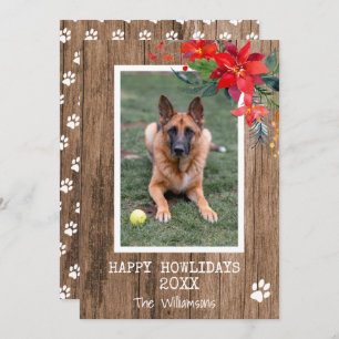 Happy Howliday  Dog Photo