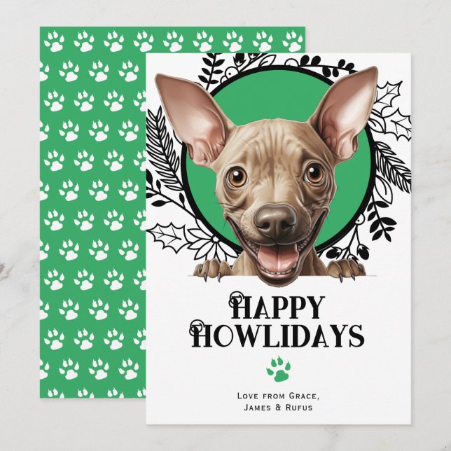 Happy Howlidays American Hairless Dog Christmas Holiday Card (Front/Back)