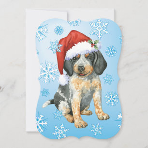 Happy Howlidays Bluetick Holiday Card