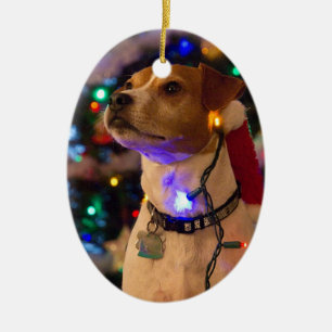 Happy Howlidays! Ceramic Tree Decoration