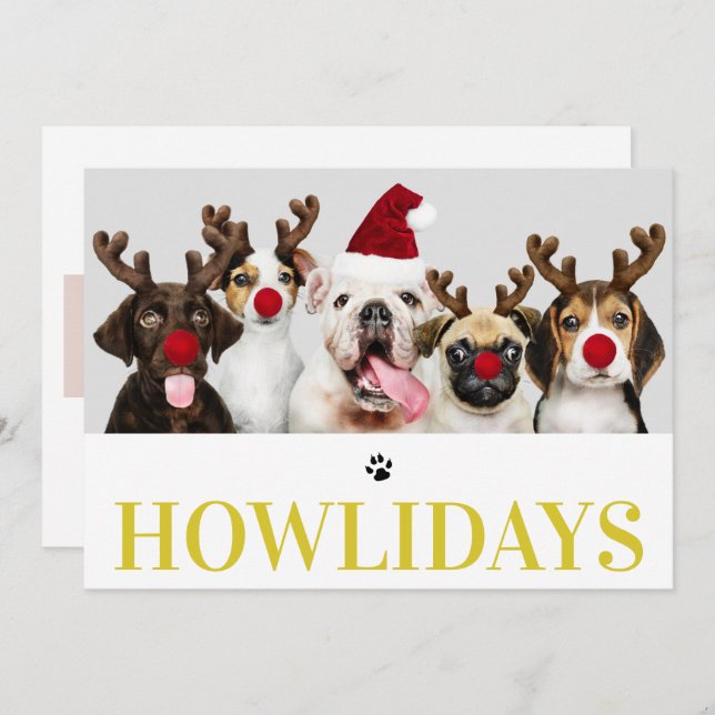 Happy Howlidays Dog Christmas 5 Photo Card (Front/Back)