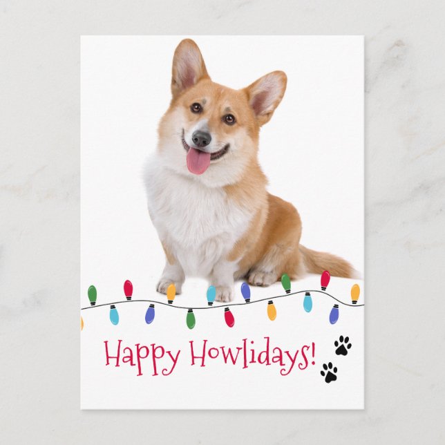Happy Howlidays Dog Photo Festive Christmas lights Postcard (Front)